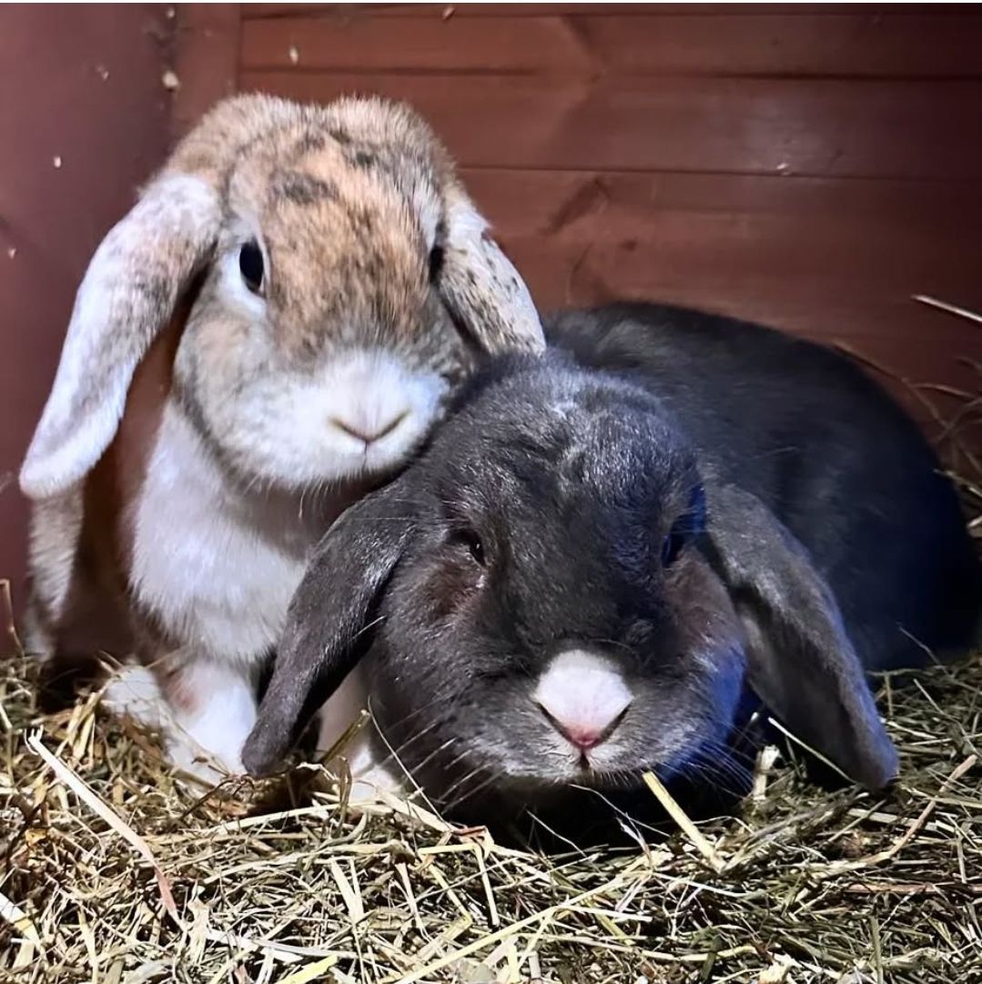 Cleo & Oskar