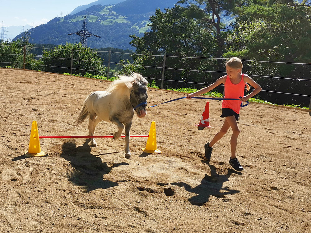 Ferien am Pferdehof – Kind führt Pony