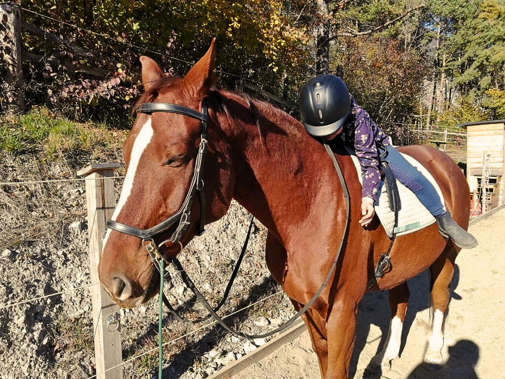 Reittherapie – Kind mit Pferd